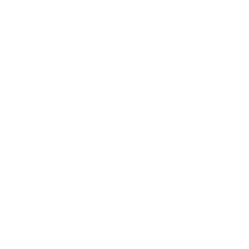 Motif végétal graphique utilisé dans l’identité visuelle de l’Hôtel 2A à Boucan Canot, établissement réservé aux adultes, 974