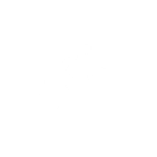 Motif hibiscus graphique utilisé dans l’identité visuelle de l’Hôtel 2A à Boucan Canot, établissement réservé aux adultes, 974